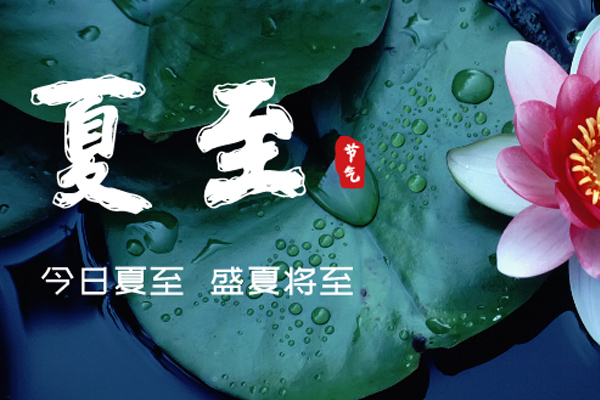 91黄瓜视频成人木業 | 盛夏已至,滿目繁華